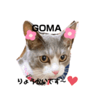 mariの愉快な3兄弟②きなこ ごま しずく（個別スタンプ：3）