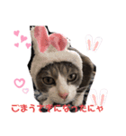 mariの愉快な3兄弟②きなこ ごま しずく（個別スタンプ：15）