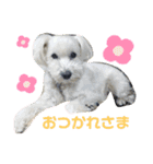 びびと、ゆかいな仲間たち2（個別スタンプ：1）