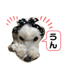 びびと、ゆかいな仲間たち2（個別スタンプ：4）