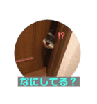 びびと、ゆかいな仲間たち2（個別スタンプ：5）