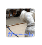 びびと、ゆかいな仲間たち2（個別スタンプ：6）