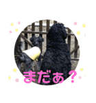 びびと、ゆかいな仲間たち2（個別スタンプ：8）