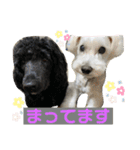 びびと、ゆかいな仲間たち2（個別スタンプ：10）