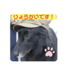 びびと、ゆかいな仲間たち2（個別スタンプ：11）