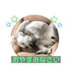 びびと、ゆかいな仲間たち2（個別スタンプ：12）