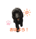 びびと、ゆかいな仲間たち2（個別スタンプ：15）