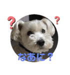びびと、ゆかいな仲間たち2（個別スタンプ：16）