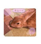 マイ マロン（個別スタンプ：5）