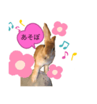 マイ マロン（個別スタンプ：7）
