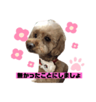 ナラファミリー25（個別スタンプ：5）