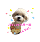 ナラファミリー25（個別スタンプ：7）