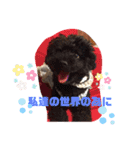 ナラファミリー25（個別スタンプ：10）
