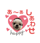 ミルクちゃんの家族スタンプ（いぬ）10（個別スタンプ：2）