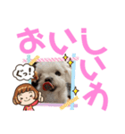 ミルクちゃんの家族スタンプ（いぬ）10（個別スタンプ：6）