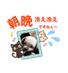 ミルクちゃんの家族スタンプ（いぬ）10（個別スタンプ：7）