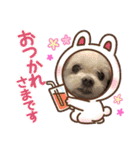 ミルクちゃんの家族スタンプ（いぬ）10（個別スタンプ：15）