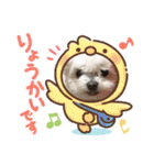 ミルクちゃんの家族スタンプ（いぬ）10（個別スタンプ：16）
