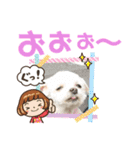 ミルクちゃんの家族スタンプ（いぬ）10（個別スタンプ：24）