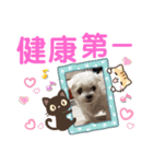 ミルクちゃんの家族スタンプ（いぬ）10（個別スタンプ：26）