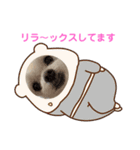 ミルクちゃんの家族スタンプ（いぬ）10（個別スタンプ：34）