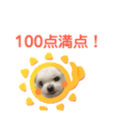 ミルクちゃんの家族スタンプ（いぬ）10（個別スタンプ：40）