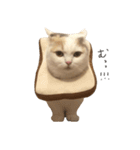 しらすパンスタンプ（個別スタンプ：4）