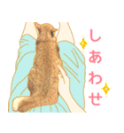 茶トラ猫ガットくん5（個別スタンプ：4）