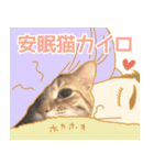 茶トラ猫ガットくん5（個別スタンプ：39）