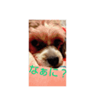キャバシーズ・ノアのスタンプ6（個別スタンプ：3）