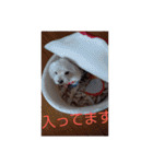 キャバシーズ・ノアのスタンプ6（個別スタンプ：10）