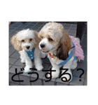 キャバシーズ・ノアのスタンプ6（個別スタンプ：13）