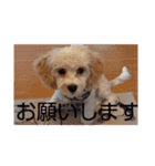 キャバシーズ・ノアのスタンプ6（個別スタンプ：19）