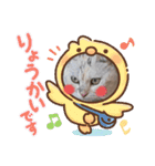 みるくここあ！のスタンプ4（個別スタンプ：8）