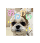 世界一かわいいひなちゃんスタンプ（個別スタンプ：6）