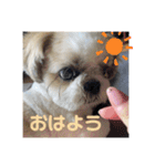 世界一かわいいひなちゃんスタンプ（個別スタンプ：7）