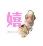 世界一かわいいひなちゃんスタンプ（個別スタンプ：13）