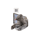 猫ちゃん祐葵です（個別スタンプ：4）