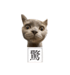猫ちゃん祐葵です（個別スタンプ：11）