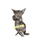 猫ちゃん祐葵です（個別スタンプ：21）