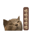 猫ちゃん祐葵です（個別スタンプ：23）