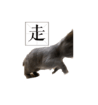 猫ちゃん祐葵です（個別スタンプ：29）
