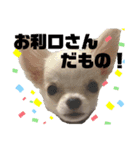 ペロちゃんはお利口さんだもの（個別スタンプ：2）