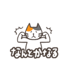 でか文字★三毛ねこ日常会話（個別スタンプ：13）