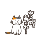 でか文字★三毛ねこ日常会話（個別スタンプ：25）