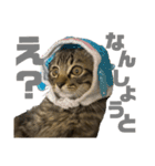 Ronちゃんスタンプ（個別スタンプ：1）