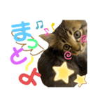 Ronちゃんスタンプ（個別スタンプ：6）