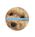 犬の機嫌を治したい（個別スタンプ：8）