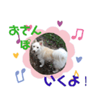 <ʓみちゃんのきゃわいいスタンプ押忍その2（個別スタンプ：9）