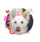 <ʓみちゃんのきゃわいいスタンプ押忍その2（個別スタンプ：14）